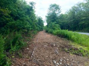 Photos of Train Tracks, from Jeff Knadler, Lansford, 8-12-2015 (3)