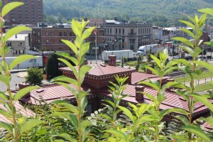 Photos with Scott Herring, around Tamaqua, 8-18-2015 (8)