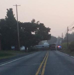 Image courtesy Cynthia Lynn.