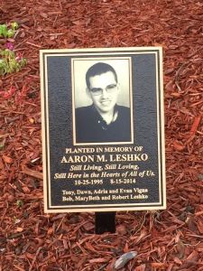 Special to TamaquaArea.com