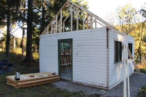 Building a Cabin from Camp Brainerd, Lower Owl Creek Reservoir, Tamaqua, 10-11-2015 (29)