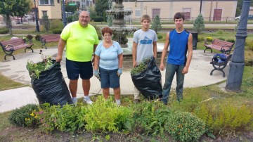 Pulling Weeds, Picking Up Garbage, Depot Square Park, Tamaqua, 9-19-2015 (1)