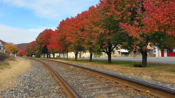 Red and Green Trees, North Railroad Street, Tamaqua, 10-31-2015 (2)
