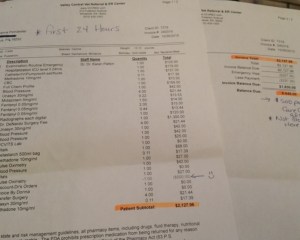 Story about Dog Attack, Shooting, 71 and 73 Hunter Street, Tamaqua, 10-30-2015 (6)