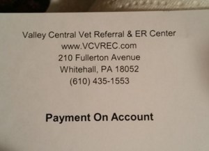 Story about Dog Attack, Shooting, 71 and 73 Hunter Street, Tamaqua, 10-30-2015 (8)