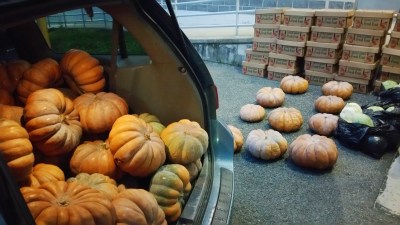 Free Apples and Pumpkins, Tamaqua Salvation Army, Tamaqua, 11-9-2015 (9)