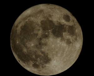 Lyle Mantz / Special to TamaquaArea.com 