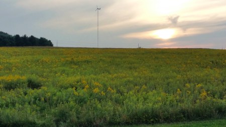 View of Flower Field, Tuscarora State Park, Barnesville, 8-30-2015 (12)