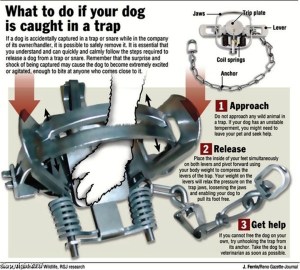 Courtesy TrailSafeUtah.com