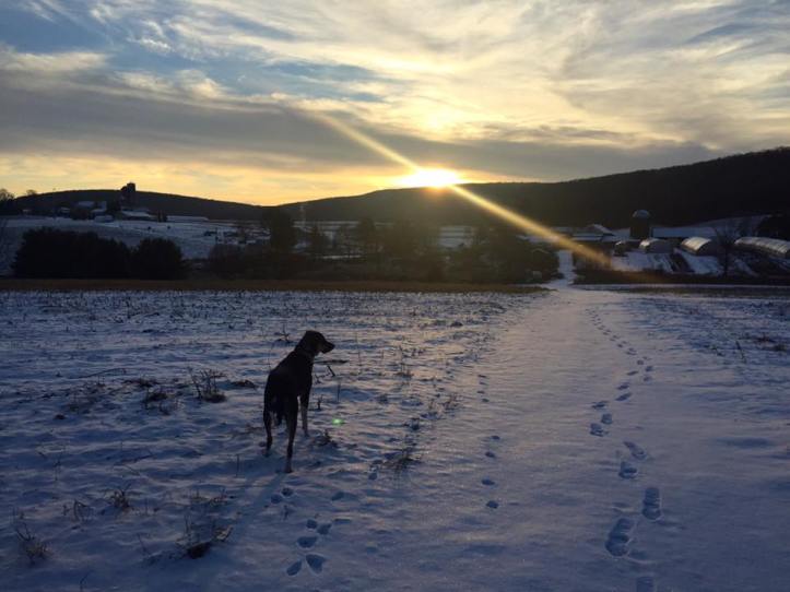 Photo credit: Liz Leiby