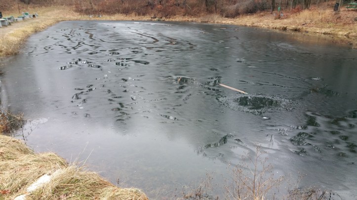 kids-walking-on-thin-ice-kellners-dam-tamaqua-1-22-2017