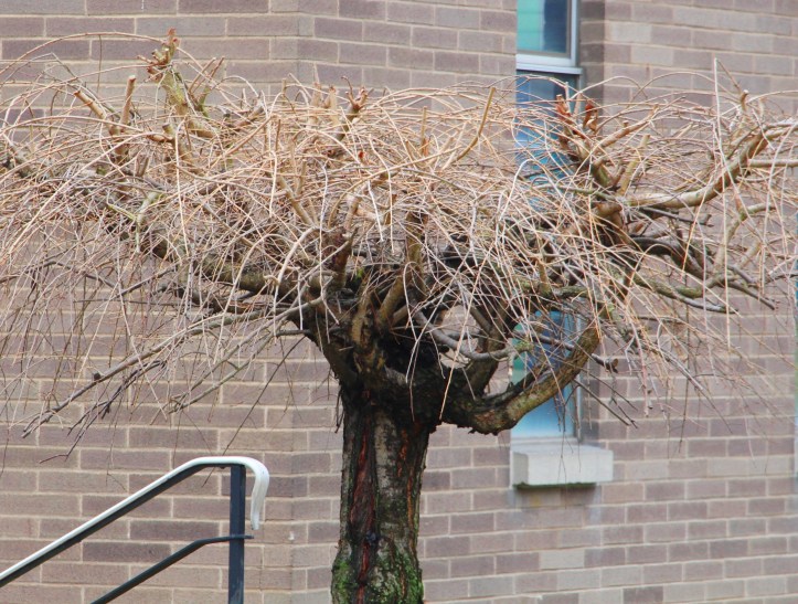 photo-quest-tamaqua-1-22-2017