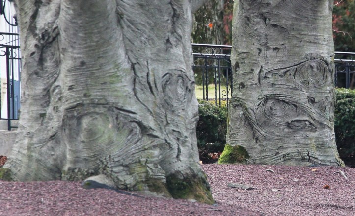 photo-quest-tamaqua-1-25-2017