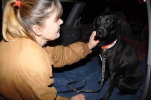 tamaqua-area-animal-rescue-transport-cracker-barrel-frackville-1-14-2012-78