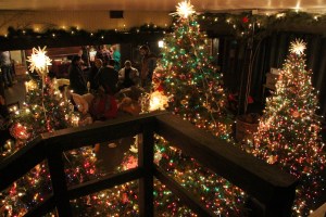 tree-lighting-stonehedge-gardens-south-tamaqua-1-6-2017-24