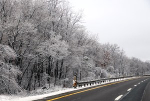 winter-wonderland-ice-on-trees-along-sr54-and-interstate-81-barnesville-1-24-2017-30b