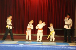 talent-show-st-jerome-regional-school-tamaqua-2-2-2017-31